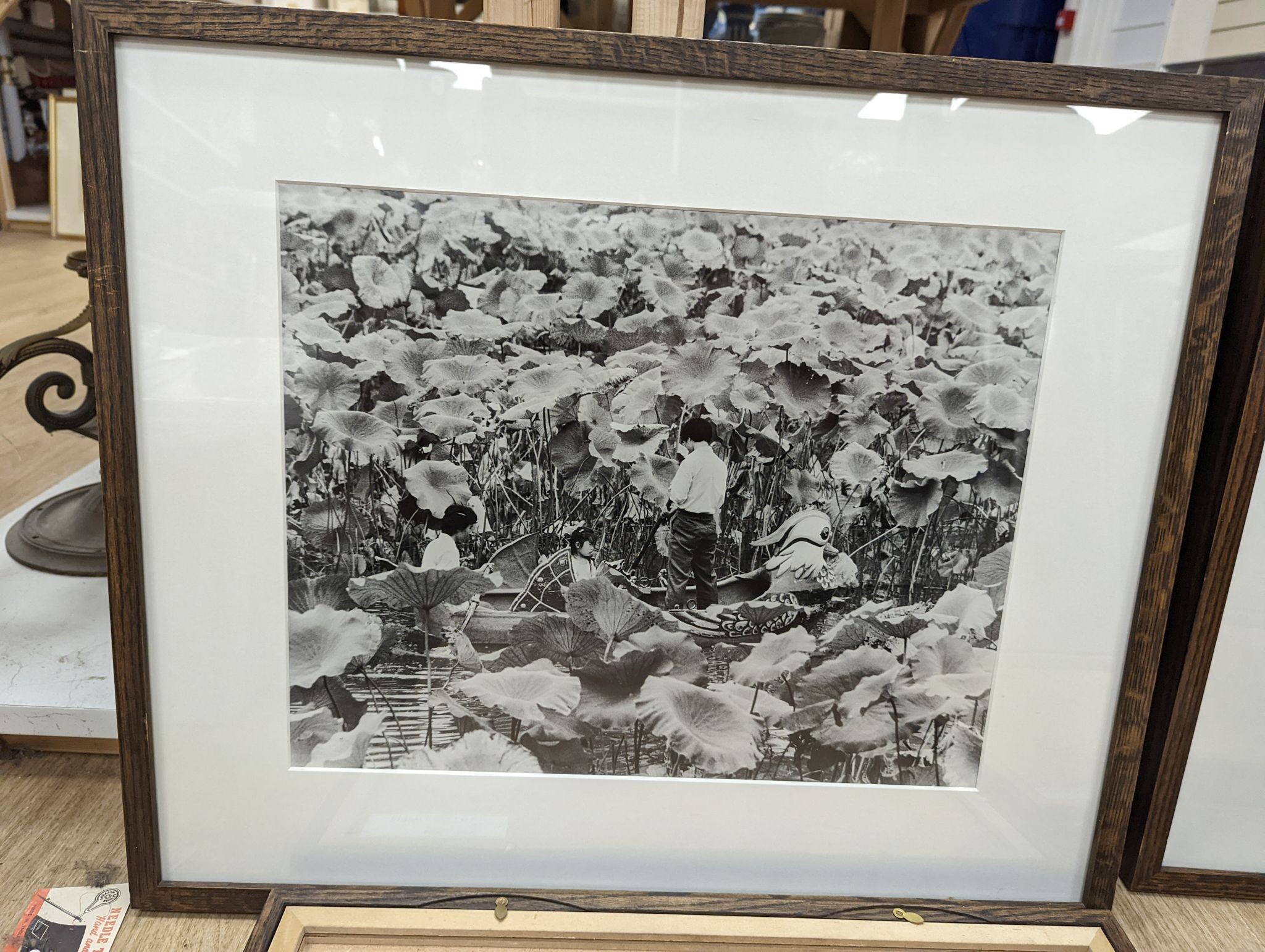 A group of six contemporary black and white photographs
